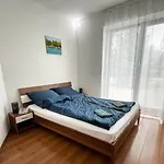 Vamus Guest house