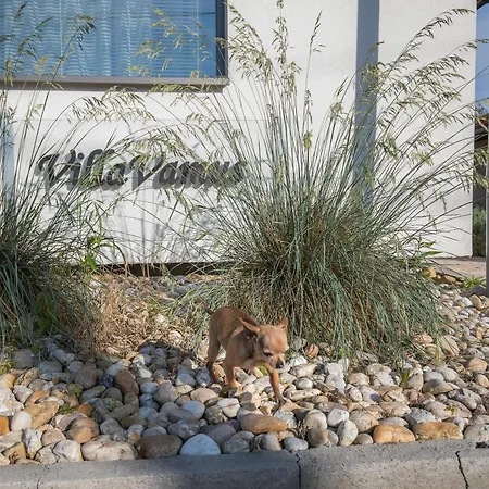 Vamus Vendeg- Es Rendezvenyhaz 3* Vámosszabadi