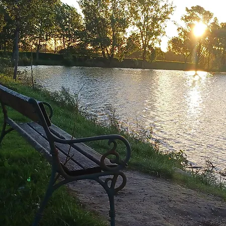 Pensiune Vamus Vendeg- Es Rendezvenyhaz