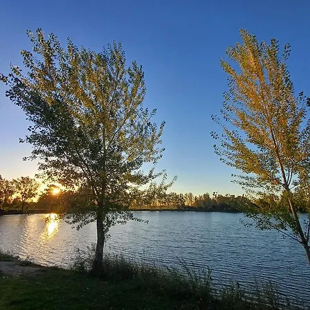 Pensiune Vamus Vendeg- Es Rendezvenyhaz