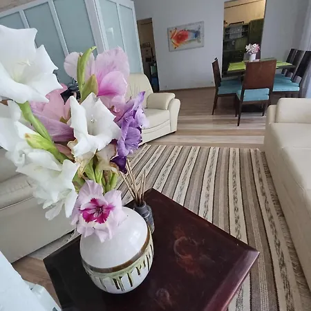 Pensiune Vamus Vendeg- Es Rendezvenyhaz